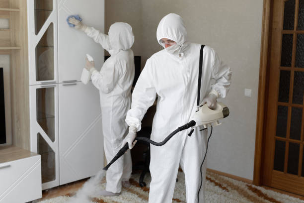 Best Mold Cleaning Services  in Long Valley, NJ