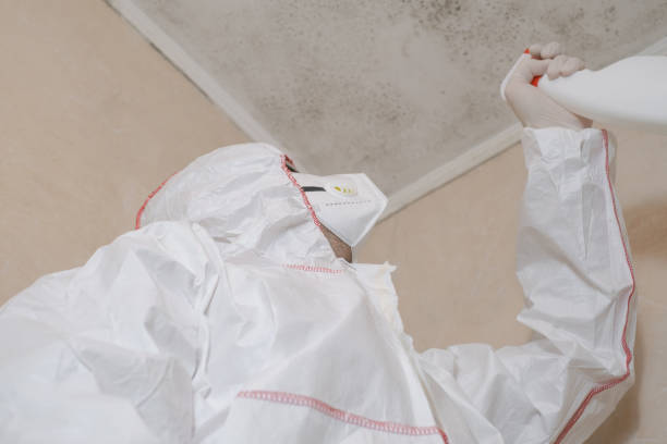 Best Attic Mold Removal  in Long Valley, NJ