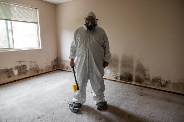 Best Emergency Mold Removal  in Long Valley, NJ